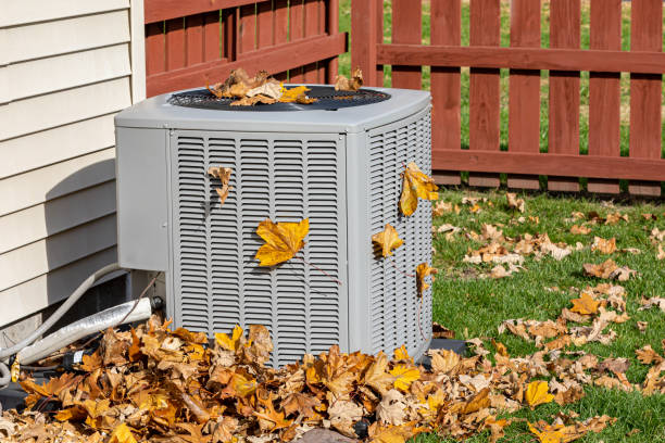 Best HVAC companies near me  in Rainier, WA